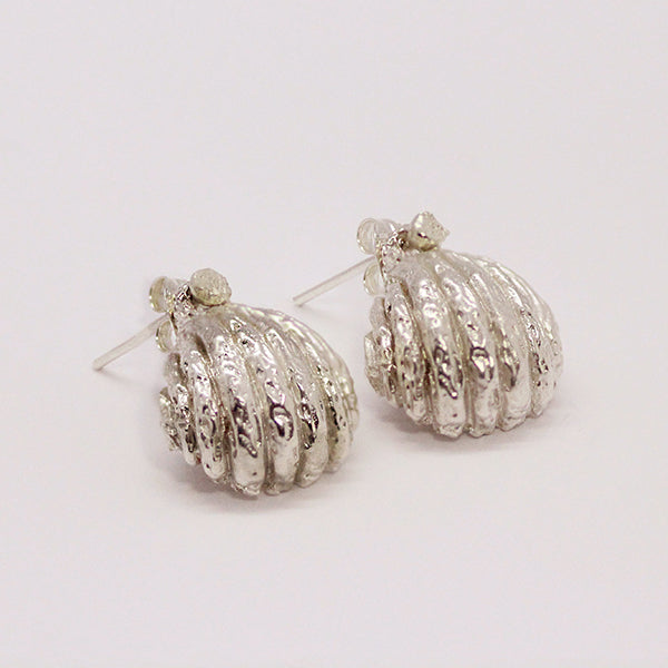 Shell Earrings