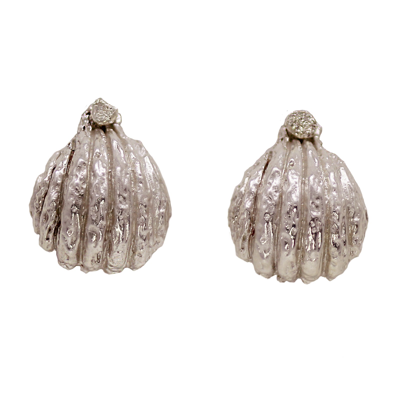 Shell Earrings