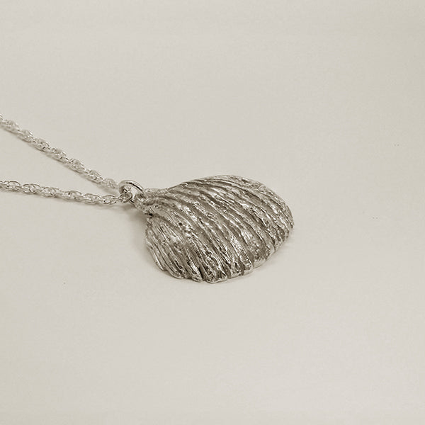 Cockle shell silver necklace