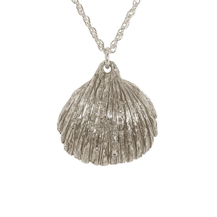 Cockle shell silver necklace